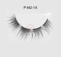 P-M2-1X