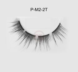 P-M2-2T