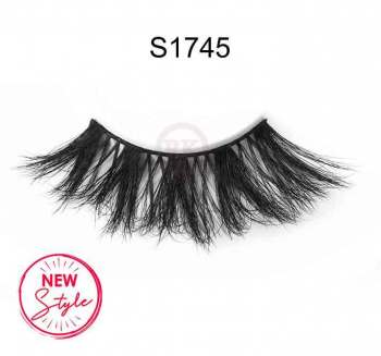 S1745