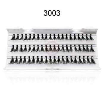 3003