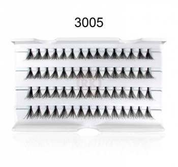 3005