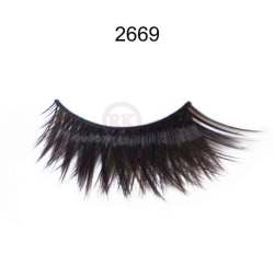 2669
