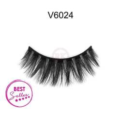 V6024