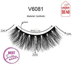 V6081
