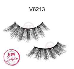 V6213