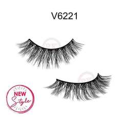 V6221
