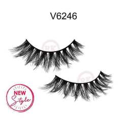 V6246