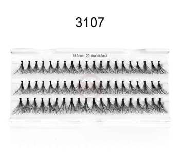 3107