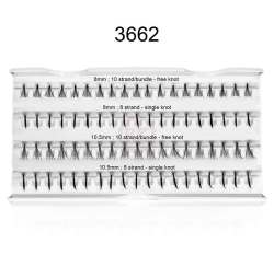 3662