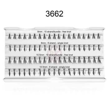 3662