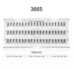 3665