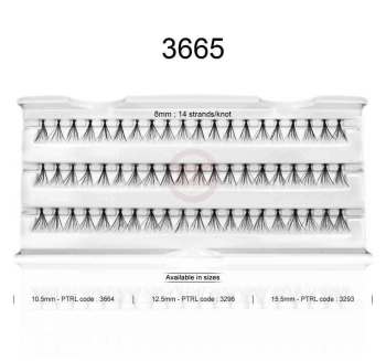 3665