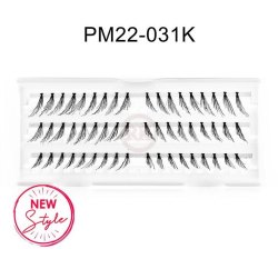 PM22-031K