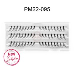 PM22-095