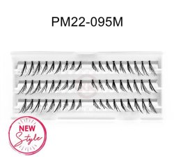 PM22-095M