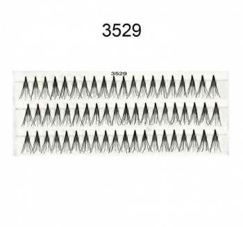 3529