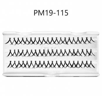 PM19-115