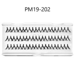 PM19-202