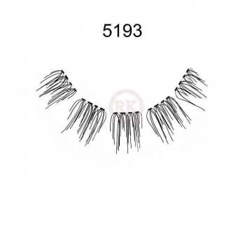 5193