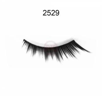 2529