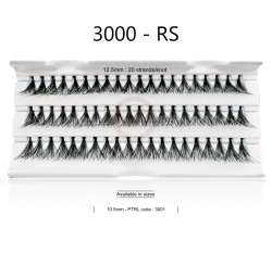 3000
