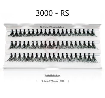 3000