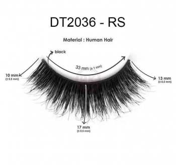 DT2036