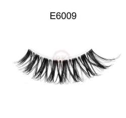 E6009