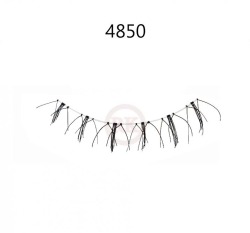 4850