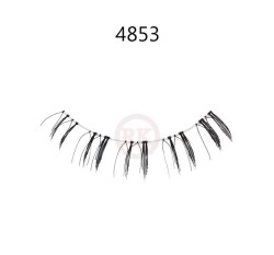4853