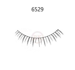 6529
