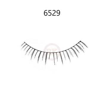 6529
