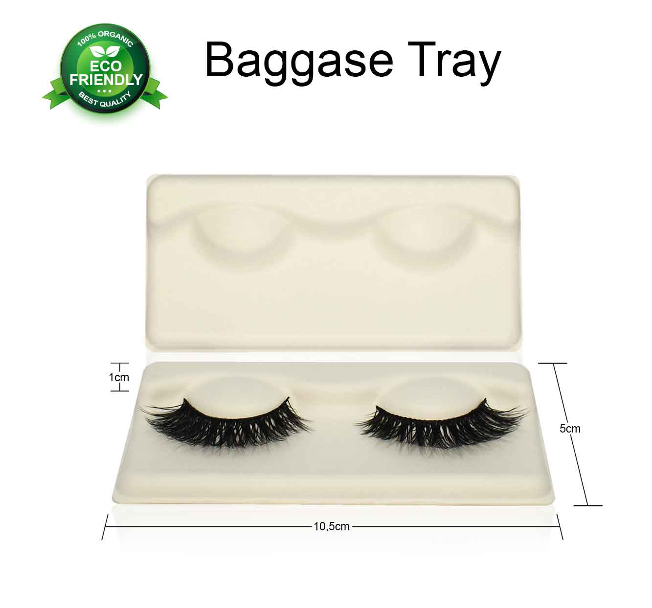 Baggase-Tray-eco-friendly