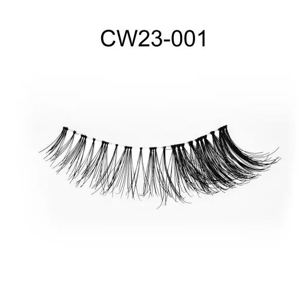 CW23-001