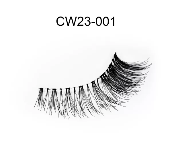 CW23-001 - Image 2