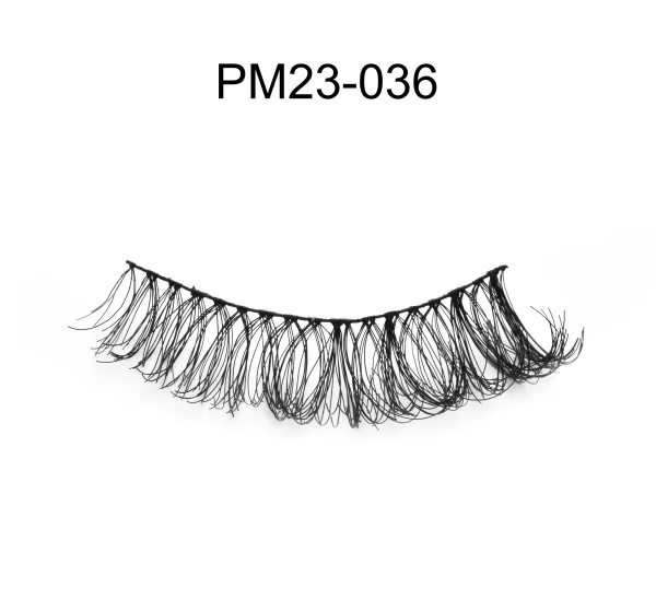 PM23-036