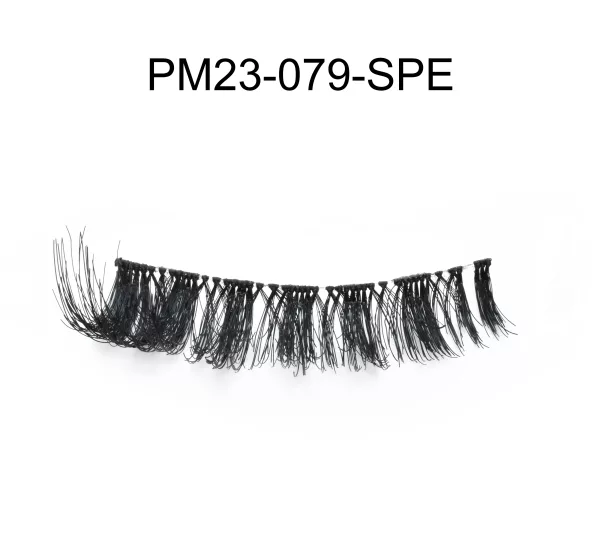 PM23-079-SPE