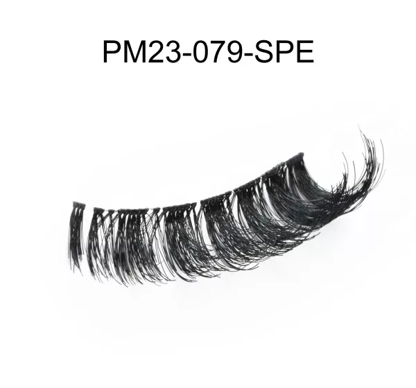 PM23-079-SPE - Image 2
