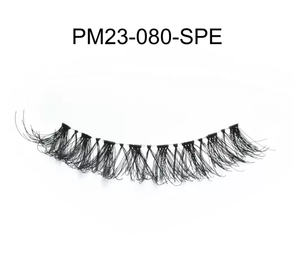PM23-080-SPE